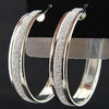 Charm Frosted Big Hoop Earrings